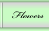 Flowersbutton